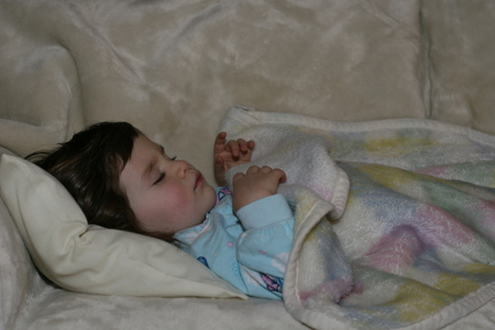 Alice - sleeping peacefully on the couch