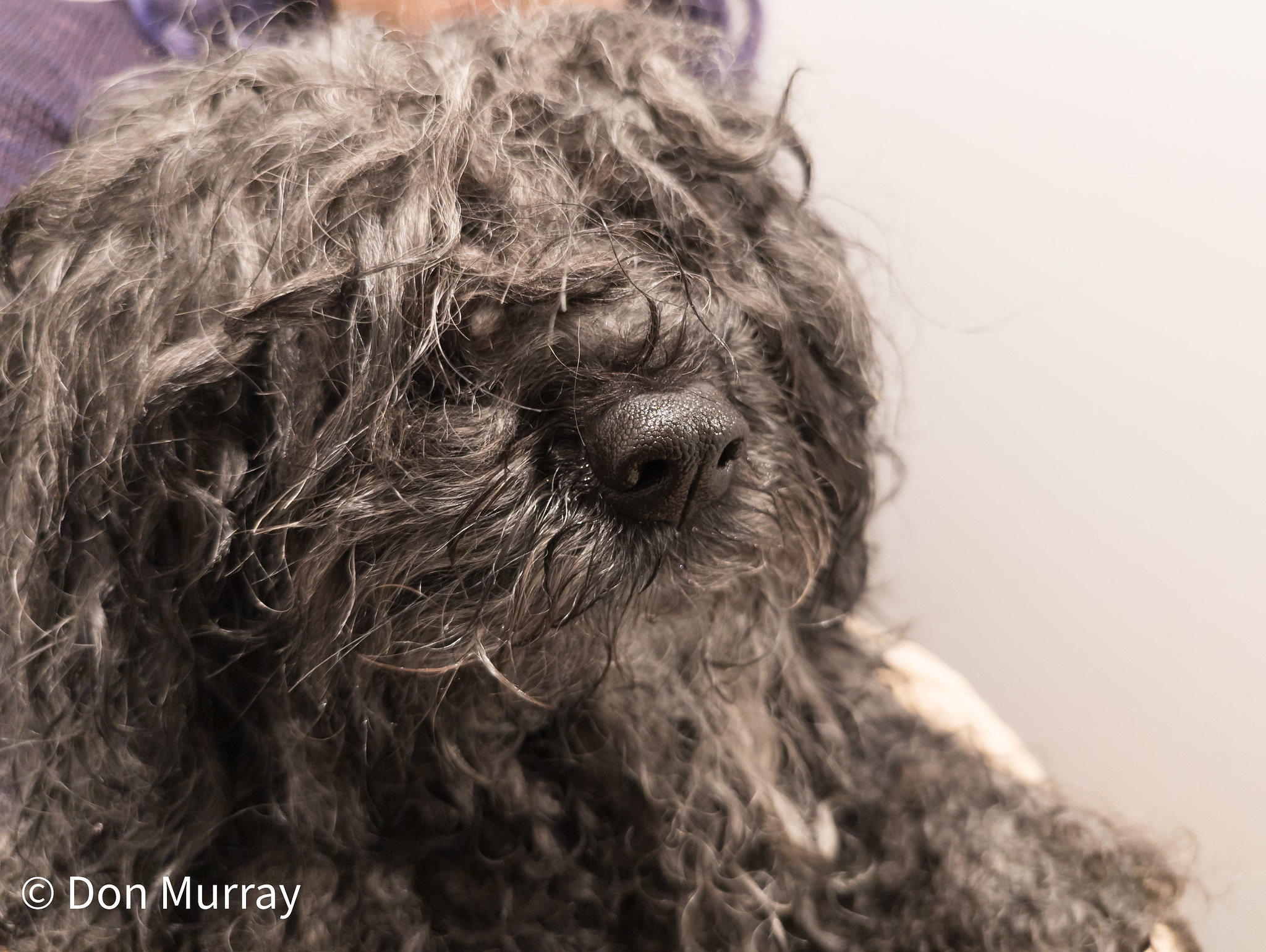 Zoe drying after her bath