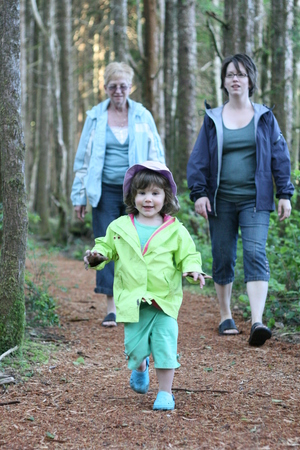 Rainforest Walk