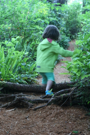 Small nurse log