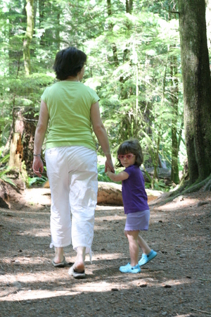 Cathedral Grove