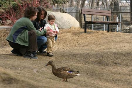 Alice, Mommy, Chrissy and a duck