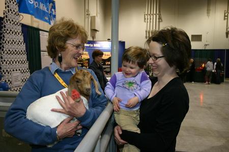 Baby goats are nice